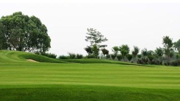 人造草坪價格影響因素之人造草坪底布